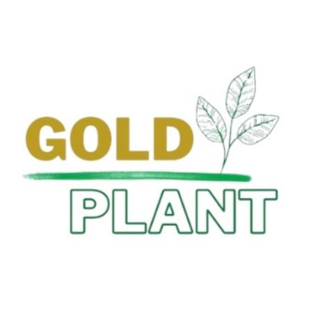 Imagem de Separador limitador divisor de grama jardim 25 m Verde com borda Gold Plant