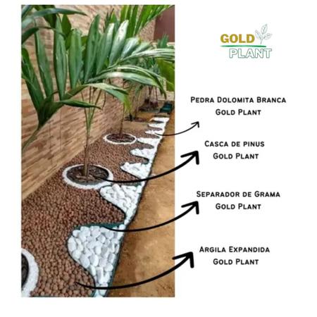 Imagem de Separador limitador divisor de grama jardim 25 m Verde com borda Gold Plant
