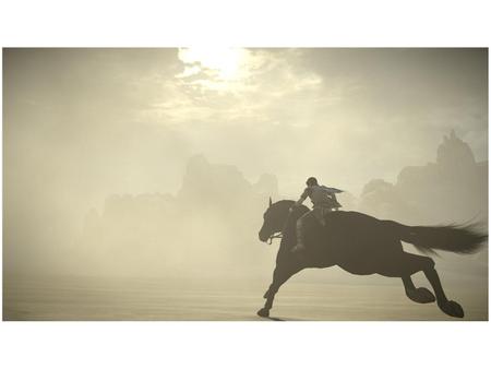 Ico & Shadow Of The Colossus para PS3 - Sony - Jogos de Ação - Magazine  Luiza