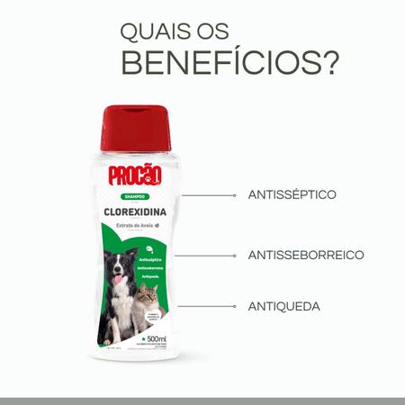 Imagem de Shampoo Clorexidina Para Cães e Gatos Banho Procão 500ml