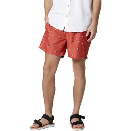 Imagem de Shorts Masculino Estampado