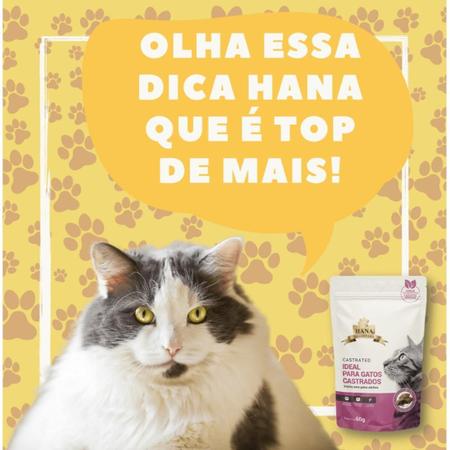 Imagem de Snacks Hana Healthy Life Castrated Gatos Adultos 60G Kit 20