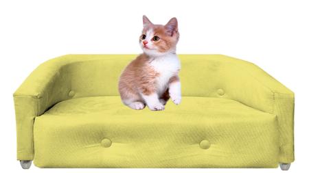Imagem de Sofa Caminha de Gato e Cachorro  Diversas Cores Modelo Megui