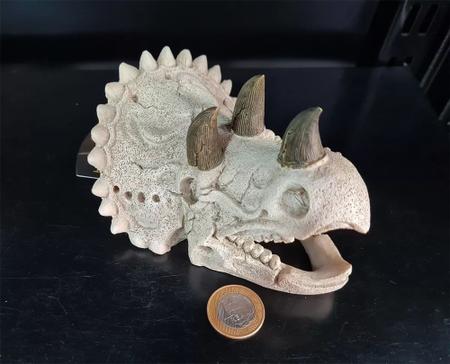 Imagem de Soma Enfeite De Resina Esqueleto Cabeça De Triceratops Pq