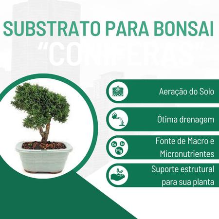 Imagem de Substrato Para Bonsai Coníferas ou Frutíferas 5 Kg - Gold Plant