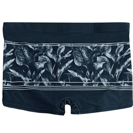 Sunga Boxer Mash Listrada Folhagem Cinza Azulada Imagem de Sunga Boxer Mash Listrada Folhagem Cinza Azulada