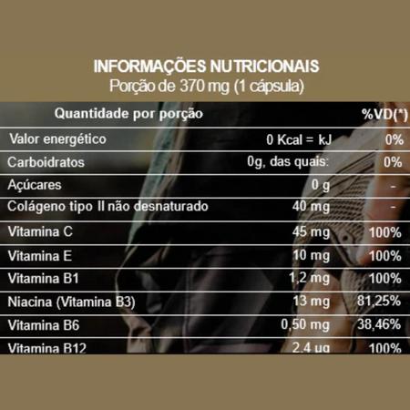 Imagem de Suplemento Alimentar de Vitaminas e Minerais Biocêutica Fisiofort Max Colágeno Tipo II Pote 60 Cápsulas Kit 6 Unidades