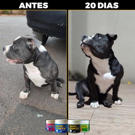 Imagem de Suplemento para Cães Aumentar Imunidade Cachorro Forte Premium 250g