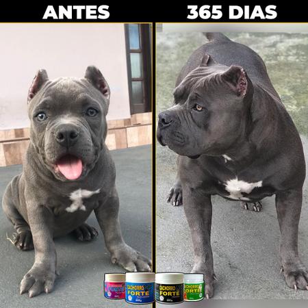 Imagem de Suplemento para Cães Aumentar Imunidade Cachorro Forte Premium 250g