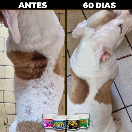 Imagem de Suplemento para Cães Aumentar Imunidade Cachorro Forte Premium 250g