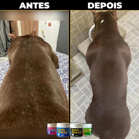 Imagem de Suplemento para Cães Aumentar Imunidade Cachorro Forte Premium 250g