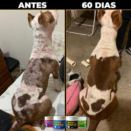 Imagem de Suplemento para Cães Aumentar Imunidade Cachorro Forte Premium 250g