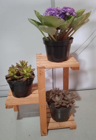 Imagem de Suporte de mesa plantas pequenas 3 lugares