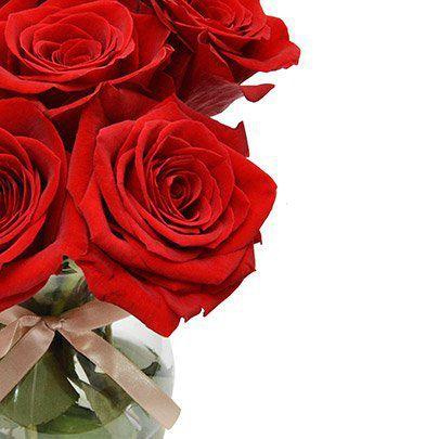 Surpresa de Rosas Vermelhas Colombianas - Giuliana Flores - Flores, Folhas  e Galhos de Natal - Magazine Luiza