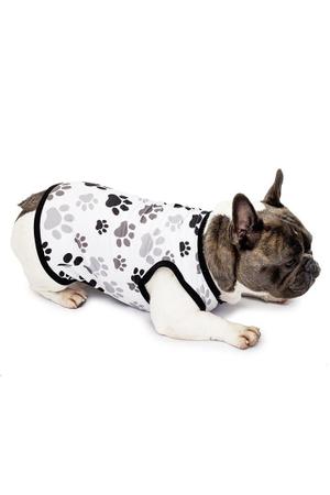 Imagem de Tal Mãe Tal Pet Pijama Feminino Curto e Roupa Pet Patinhas Preto e Branco