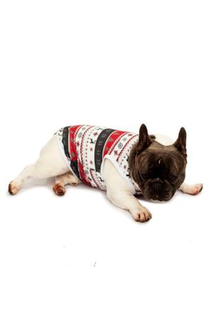 Imagem de Tal Pai Tal Pet Pijama Masculino Curto e Roupa Pet Natal Night