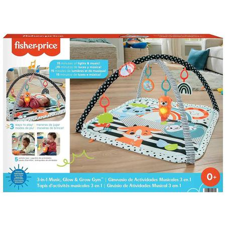 Tapete de Atividades Fisher Price Newborn Toys Colorido - Mattel Imagem de Tapete de Atividades Fisher Price Newborn Toys Colorido