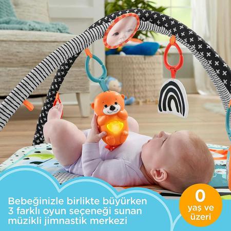 Tapete de Atividades Fisher Price Newborn Toys Colorido - Mattel Imagem de Tapete de Atividades Fisher Price Newborn Toys Colorido