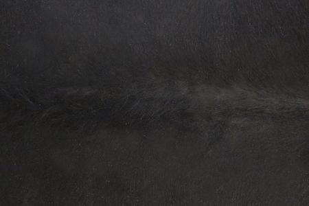 Imagem de Tapete de couro. Pele em formato natural. L 1,50 x C 1,60 m. Preto e branco. Ref. P1247