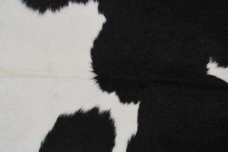 Imagem de Tapete de couro. Pele em formato natural. L 1,70 x C 1,90 m. Preto e branco. Ref. P1516