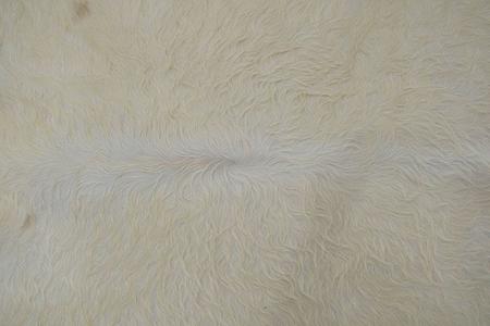 Imagem de Tapete de couro. Pele em formato natural. L 1,80 x C 1,90 m. Tons de branco. Ref. P1937