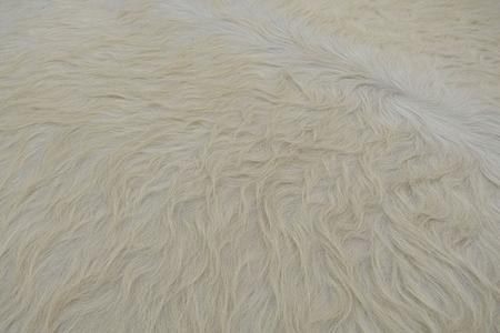 Imagem de Tapete de couro. Pele em formato natural. L 1,80 x C 1,90 m. Tons de branco. Ref. P1937