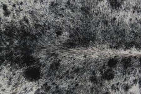 Imagem de Tapete de couro. Pele em formato natural. L 2,00 x C 2,50 m. Preto e branco. Ref. P1754