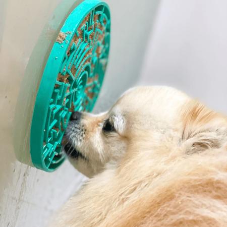 Tapete De Lamber P/ Cães E Gatos Pet Games Labirinto Verde P Cor