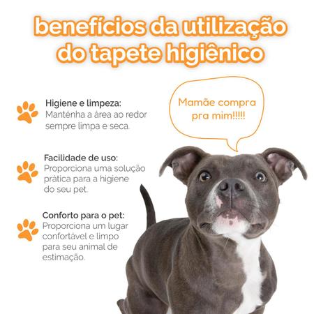 Imagem de Tapete Higiênico Fralda Cães Pet Absorção 50 Unidades 80X60