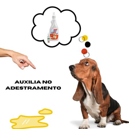 Imagem de Tapete higienico para cães adestramento kit com xixi não pode
