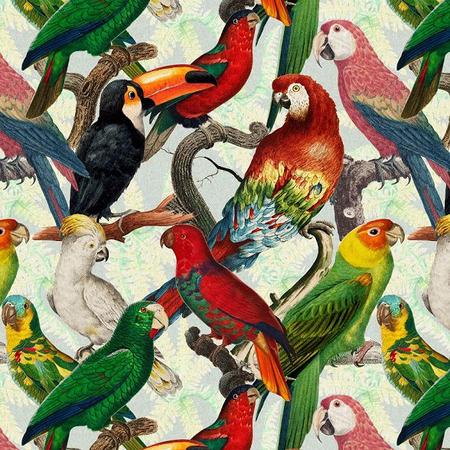 Imagem de Tecido Estampado Coleção Tropical Tucanos e Papagaios