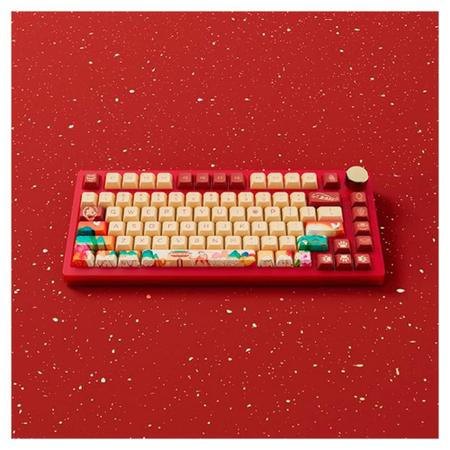 ciciglow Teclado mecânico para jogos com fio, 67 teclas RGB