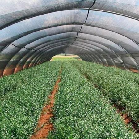 Imagem de Tela Para Horticultura Sombrite Sombreiro 50% 6x35 Mts