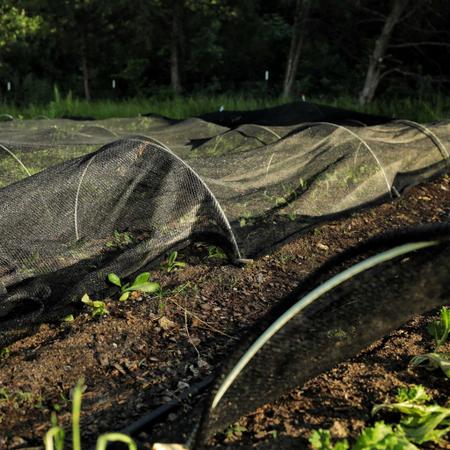 Imagem de Tela Preta Sombrite Hortas e Estufas Proteção 50% 4x12,5