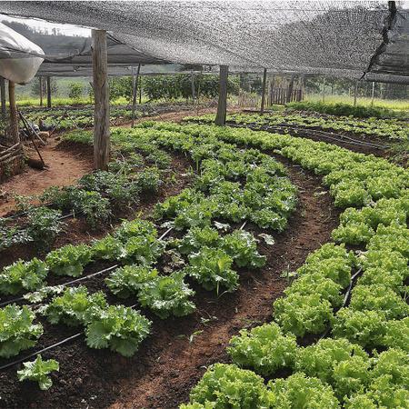 Imagem de Tela Sombreamento 35% Hortas e Galinheiro 4x5m Solpack