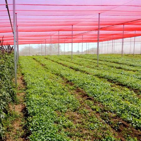 Imagem de Tela Sombrite Vermelha Agrícola Estufa Horta 30% 3x47