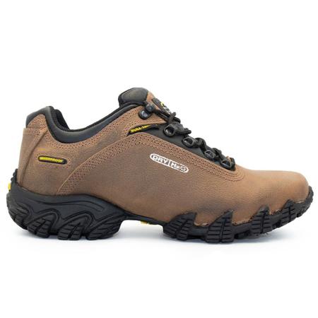 Tenis bull hotsell terrier alpina dry