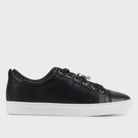 Tenis jorge bischoff best sale zattini