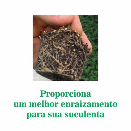 Imagem de Terra para Suculentas e Cactos 1kg Humus/Perlita/Silica