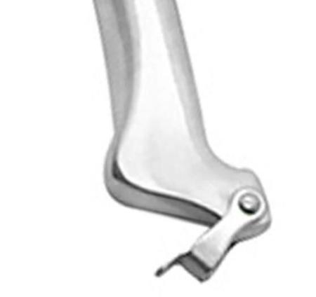 Tesoura Trinchante de Aço Inox 25cm - HAUSKRAFT Imagem de Tesoura Trinchante de Aço Inox 25cm - HAUSKRAFT