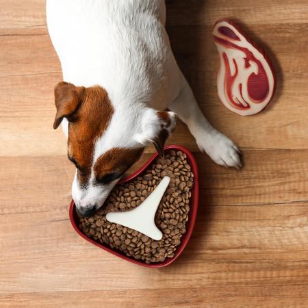 Imagem de Tigela para cães Slow Feeder com design genuíno de bife Fred Slow Food