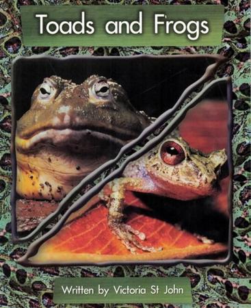 Imagem de Toads and frogs - MACMILLAN BR BILINGUE