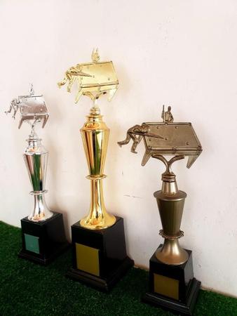 1ª Super Copa traz a Dourados o melhor jogador de sinuca do país