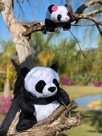 Imagem de Urso Panda Pelúcia C/2 Unidades Festa Decoração Novidade