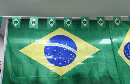 Imagem de Varal Bandeira Do Brasil C/ 20 Bandeirinhas Em Tecido 6m