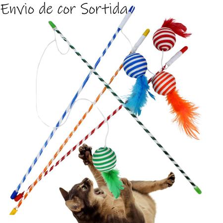 Vareta e Bolinha de Gato Pena e som para brincar gatinhos - Space Pet Imagem de Vareta e Bolinha de Gato Pena e som para brincar gatinhos