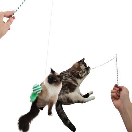 Vareta e Bolinha de Gato Pena e som para brincar gatinhos - Space Pet Imagem de Vareta e Bolinha de Gato Pena e som para brincar gatinhos