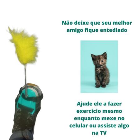 Brinquedo Varinha Para Felinos Cat Kit com 3 Iscas Terrestres Pet