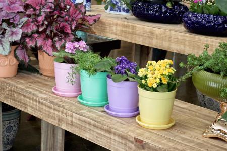 Vaso Aquarela C/Prato N 2,5 Nutriplan Amarelo Claro Imagem de Vaso Aquarela C/Prato N 2,5 Nutriplan Amarelo Claro