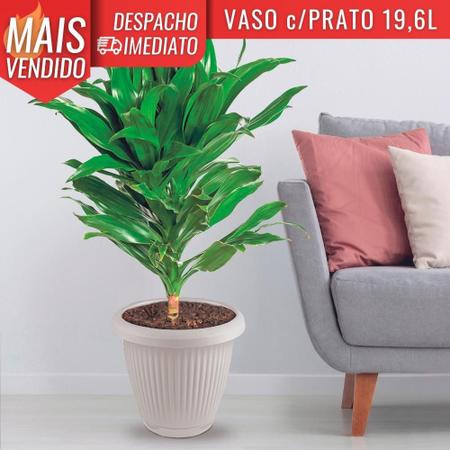 Imagem de Vaso de Flor Plástico GG c/Prato 19,6 Litros Moderno Decorativo